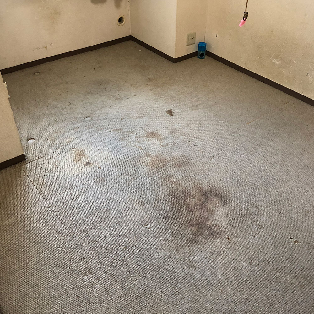 イーライフサポート　フローリング貼替え前