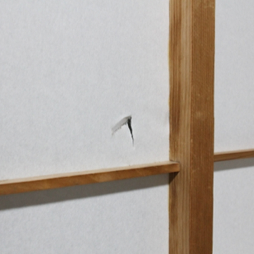 イーライフサポート　障子貼替え前