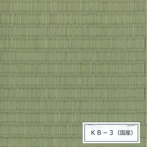 イーライフサポート　畳貼替え