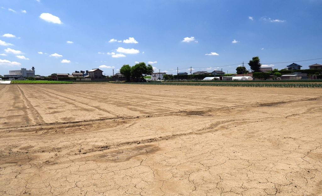 遊休地を放置するとデメリットもある