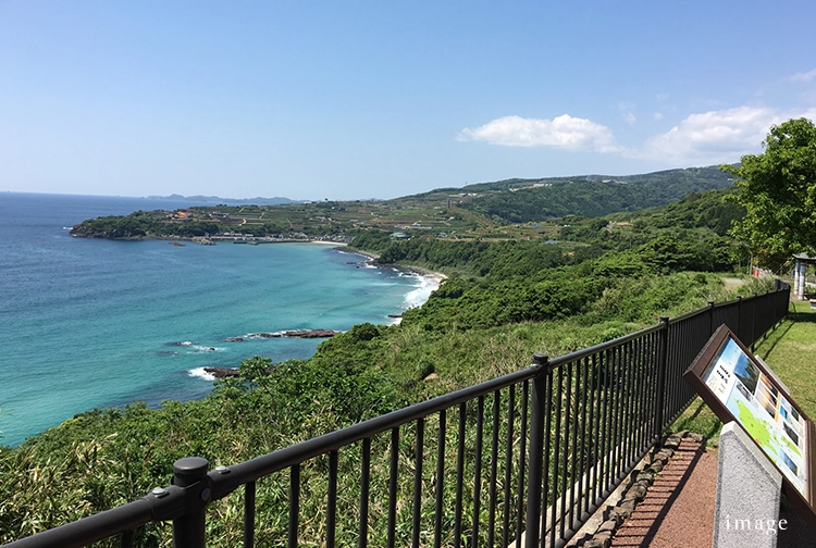 キャンペーン｜エステムコート御堂筋あびこⅡフェアリー｜京都市伏見区