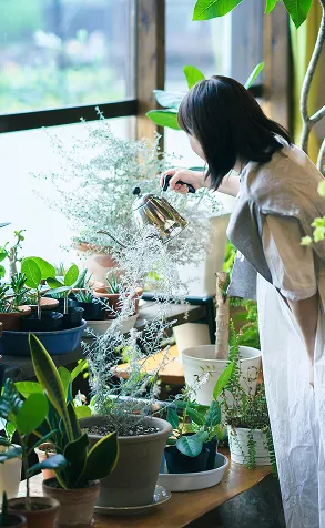 植物インテリア イメージ画像｜エステムコート御堂筋あびこⅡフェアリー｜大阪市住吉区
