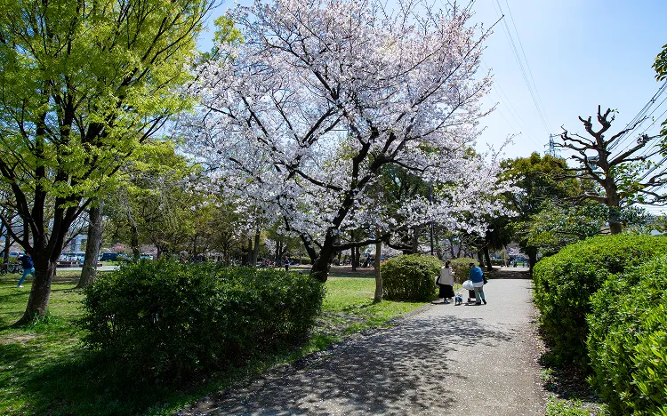八戸の里公園｜エステムコート河内小阪駅前グランスタイル