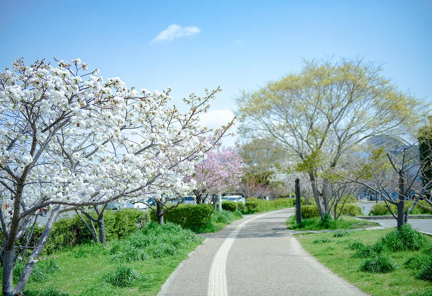 八戸の里公園｜エステムコート河内小阪駅前グランスタイル