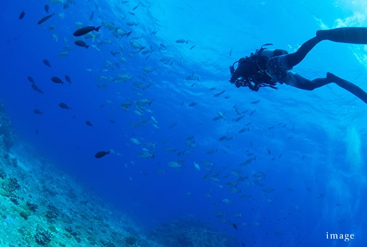 キャンペーン｜エステムコート三田 ザ・クラブハウス｜京都市伏見区
