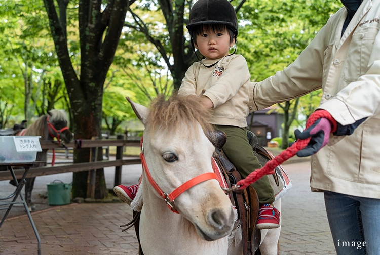 キャンペーン｜エステムコート伏見丹波橋｜京都市伏見区