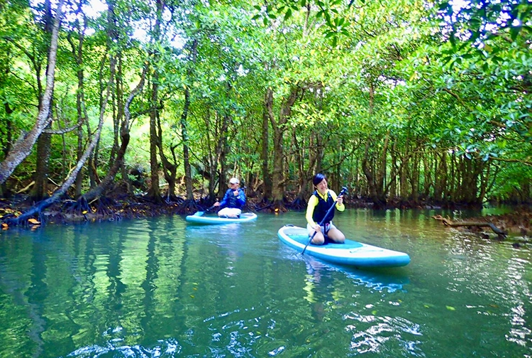 キャンペーン｜エステムコート伏見丹波橋｜京都市伏見区