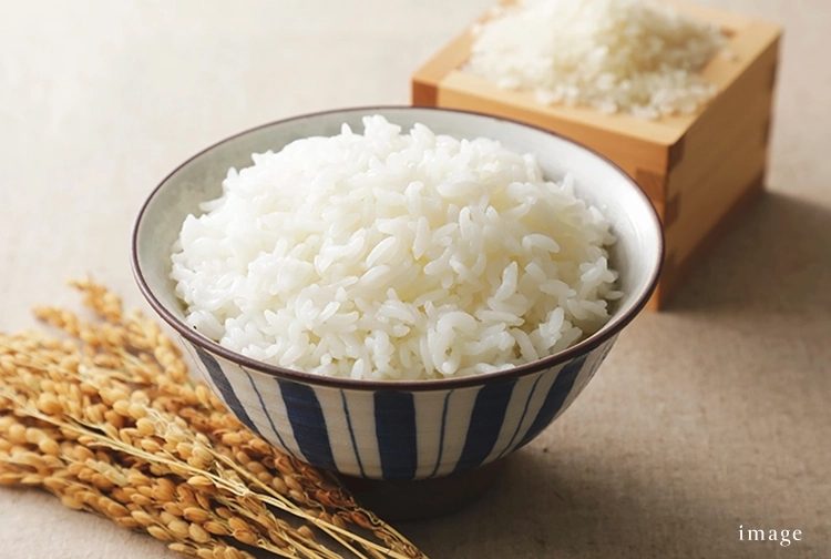 キャンペーン｜エステムコート伏見丹波橋｜京都市伏見区