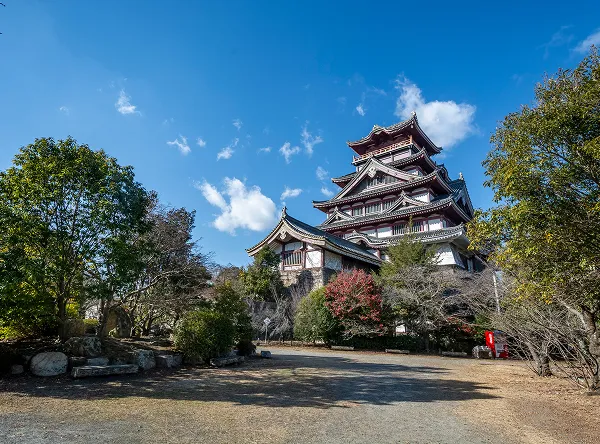 伏見桃山城運動公園｜エステムコート伏見丹波橋