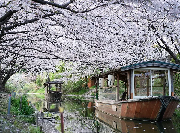 伏見十石舟｜エステムコート伏見丹波橋