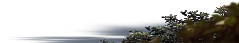 花｜エステムコート伏見丹波橋｜京都市伏見区