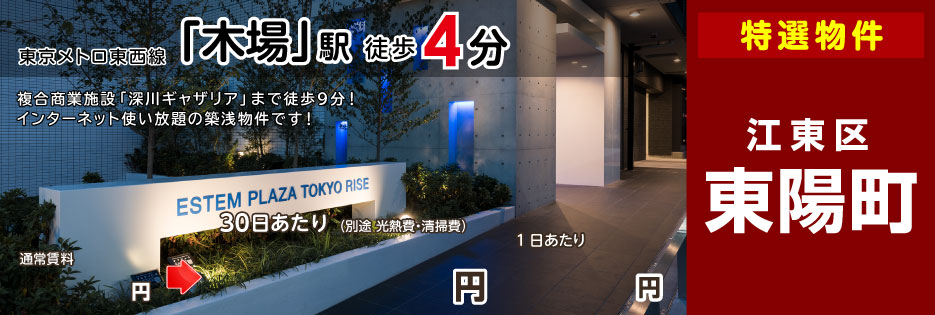 エステムプラザ TOKYO RISE（Ｄタイプ）