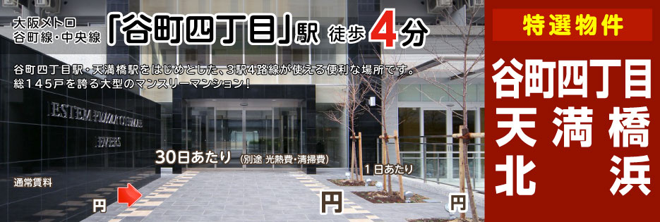 エステムプラザ大手前エヴァース