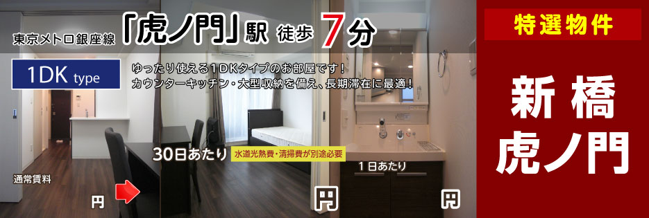 エステムプラザ愛宕虎ノ門レジデンス（1DKタイプ）