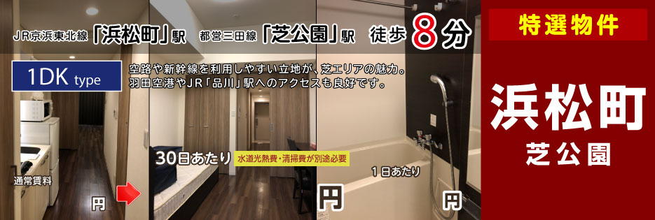 エステムプラザ芝公園（1DKタイプ）